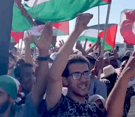 Arab members of the Global March To Gaza were the targets of the most dramatic and violent excesses committed by the Egyptian authorities