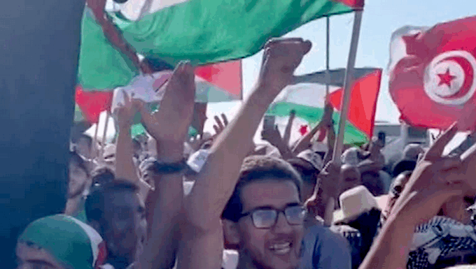 Arab members of the Global March To Gaza were the targets of the most dramatic and violent excesses committed by the Egyptian authorities