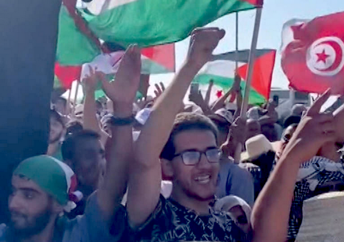 GMTG activists in Egypt DN 680wide Arab members of the Global March To Gaza were the targets of the most dramatic and violent excesses committed by the Egyptian authorities