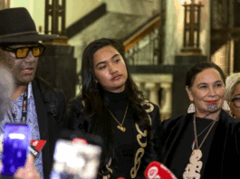 Te Pāti Māori's Rawiri Waititi (from left), Hana Rāwhiti Maipi-Clarke and Debbie Ngarewa-Packer . . . punished