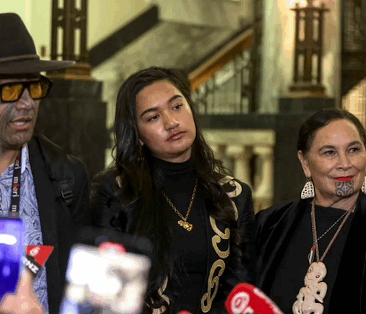 Te Pāti Māori's Rawiri Waititi (from left), Hana Rāwhiti Maipi-Clarke and Debbie Ngarewa-Packer . . . punished