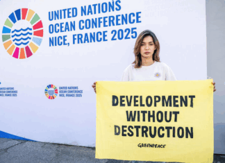 Thai advocate and Miss Earth Thailand, Baitong Jareerat, calls for ocean protection