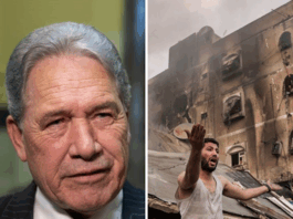 NZ Foreign Minister Winston Peters gave the game away