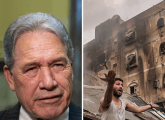 NZ Foreign Minister Winston Peters gave the game away