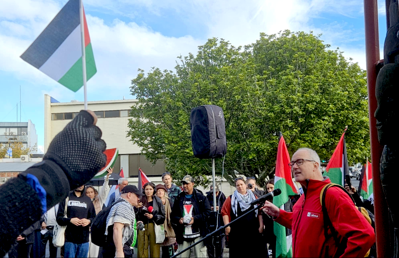 Pro-Palestinian and anti-genocide protesters at the Henderson rally
