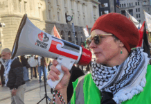 A protester at the Palestine rally against Israel's Gaza genocide and attack on Iran