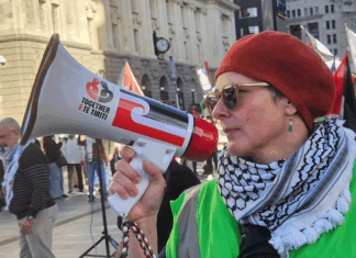 A protester at the Palestine rally against Israel's Gaza genocide and attack on Iran