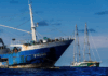 The Rainbow Warrior III in action against industrial longlining fishing in the South Pacific