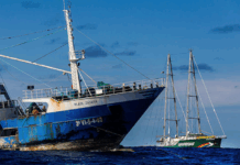 The Rainbow Warrior III in action against industrial longlining fishing in the South Pacific