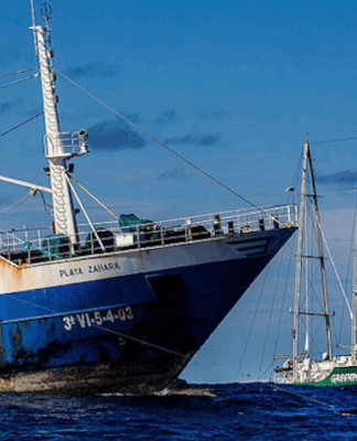 The Rainbow Warrior III in action against industrial longlining fishing in the South Pacific