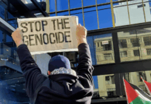 "It is hard to argue with the conclusion genocide is happening"