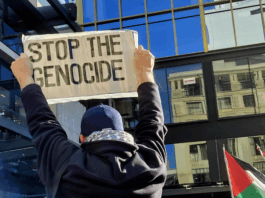 "It is hard to argue with the conclusion genocide is happening"