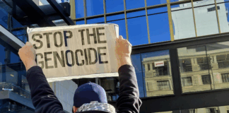 "It is hard to argue with the conclusion genocide is happening"