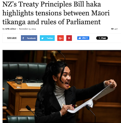 Flashback: Te Pāti Māori MP Hana-Rawhiti Maipa-Clarke led a haka in Parliament on 14 November 2024