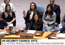 The lone US vote against Gaza peace