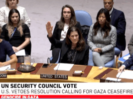 The lone US vote against Gaza peace