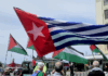 A West Papuan Morning Star flag of independence among a sea of Palestinian flags