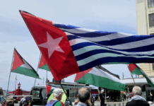 A West Papuan Morning Star flag of independence among a sea of Palestinian flags