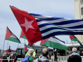 A West Papuan Morning Star flag of independence among a sea of Palestinian flags