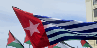 A West Papuan Morning Star flag of independence among a sea of Palestinian flags
