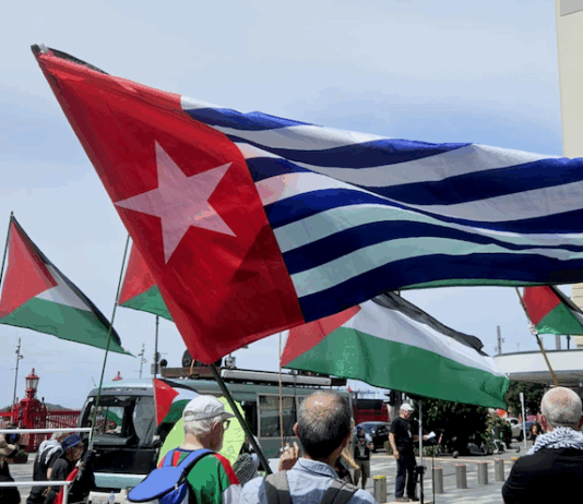 A West Papuan Morning Star flag of independence among a sea of Palestinian flags
