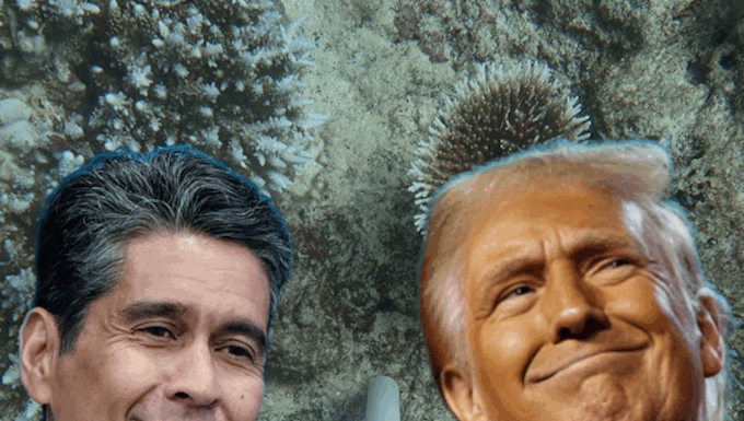 Palau President Surangel Whipps Jr