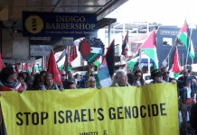 Protesters against Israel's genocide in Gaza and attacks on the occupied West Bank take to the streets in Devonport last weekend