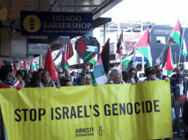 Protesters against Israel's genocide in Gaza and attacks on the occupied West Bank take to the streets in Devonport last weekend