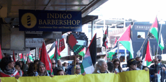 Protesters against Israel's genocide in Gaza and attacks on the occupied West Bank take to the streets in Devonport last weekend