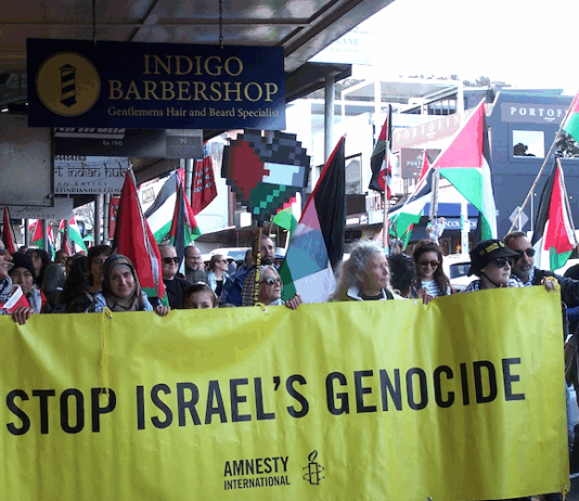 Protesters against Israel's genocide in Gaza and attacks on the occupied West Bank take to the streets in Devonport last weekend