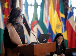 UN Special Rapporteur Francesca Albanese addresses The Hague Group Summit