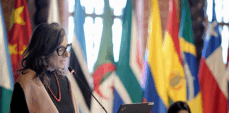 UN Special Rapporteur Francesca Albanese addresses The Hague Group Summit