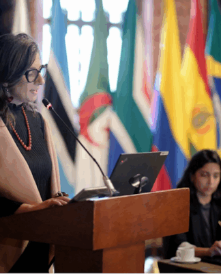 UN Special Rapporteur Francesca Albanese addresses The Hague Group Summit
