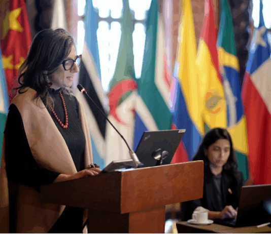 UN Special Rapporteur Francesca Albanese addresses The Hague Group Summit