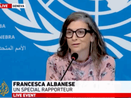 UN Special Rapporteur on the Occupied Palestinian Territory Francesca Albanese