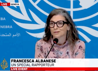 UN Special Rapporteur on the Occupied Palestinian Territory Francesca Albanese