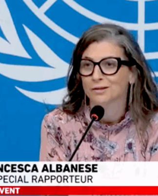 UN Special Rapporteur on the Occupied Palestinian Territory Francesca Albanese
