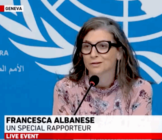 UN Special Rapporteur on the Occupied Palestinian Territory Francesca Albanese