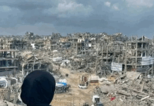 "It's more than ironic that while Western countries like Britain and New Zealand are calling for an end to the war in Gaza, they continue to be hostile toward the anti-war protest movements in their own countries"