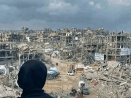 "It's more than ironic that while Western countries like Britain and New Zealand are calling for an end to the war in Gaza, they continue to be hostile toward the anti-war protest movements in their own countries"
