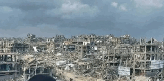 "It's more than ironic that while Western countries like Britain and New Zealand are calling for an end to the war in Gaza, they continue to be hostile toward the anti-war protest movements in their own countries"