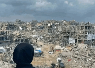 "It's more than ironic that while Western countries like Britain and New Zealand are calling for an end to the war in Gaza, they continue to be hostile toward the anti-war protest movements in their own countries"