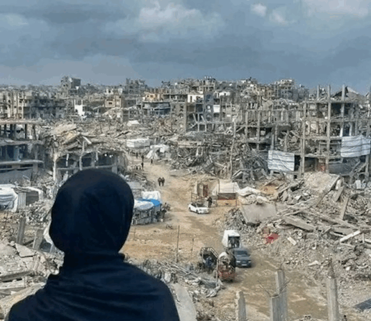 "It's more than ironic that while Western countries like Britain and New Zealand are calling for an end to the war in Gaza, they continue to be hostile toward the anti-war protest movements in their own countries"