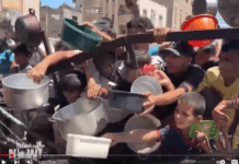 A warning on mass starvation in Gaza