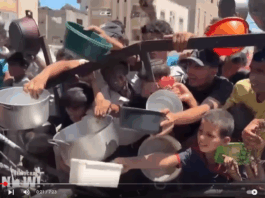 A warning on mass starvation in Gaza