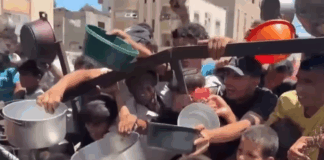 A warning on mass starvation in Gaza