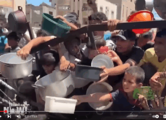 A warning on mass starvation in Gaza