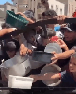 A warning on mass starvation in Gaza