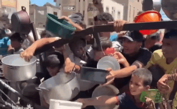 A warning on mass starvation in Gaza