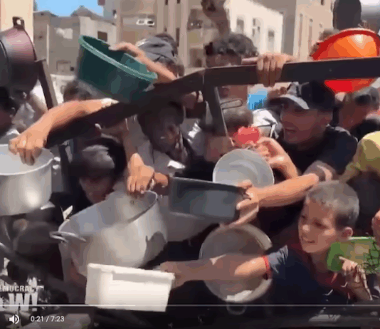 A warning on mass starvation in Gaza